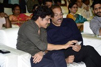 Love Story Magical Success Meet